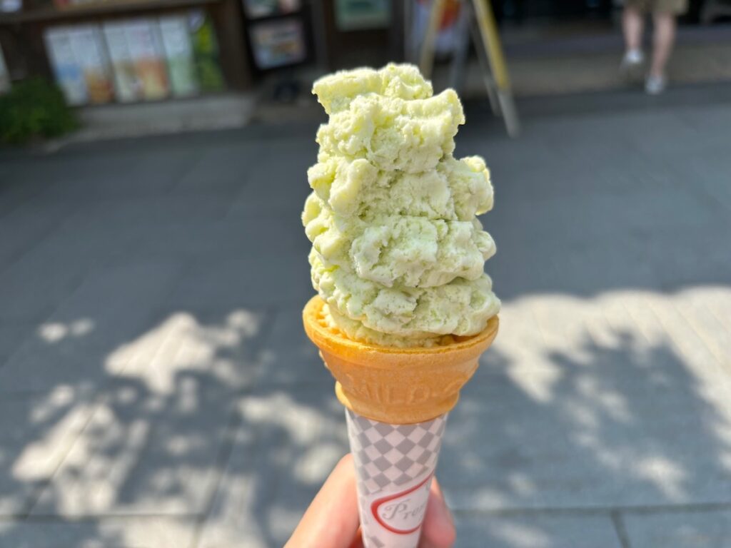 お食事とおみやげ処洗心庵のずんだ（ソフトクリーム）