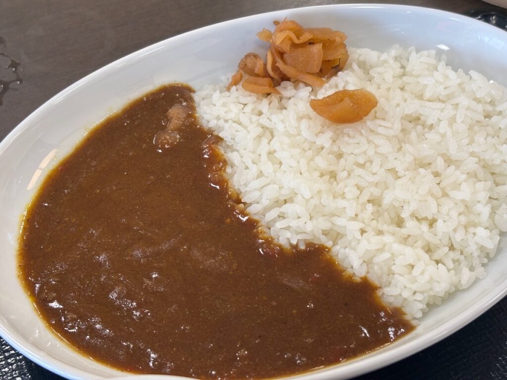 なか卯瑞江駅前店の和風カレー