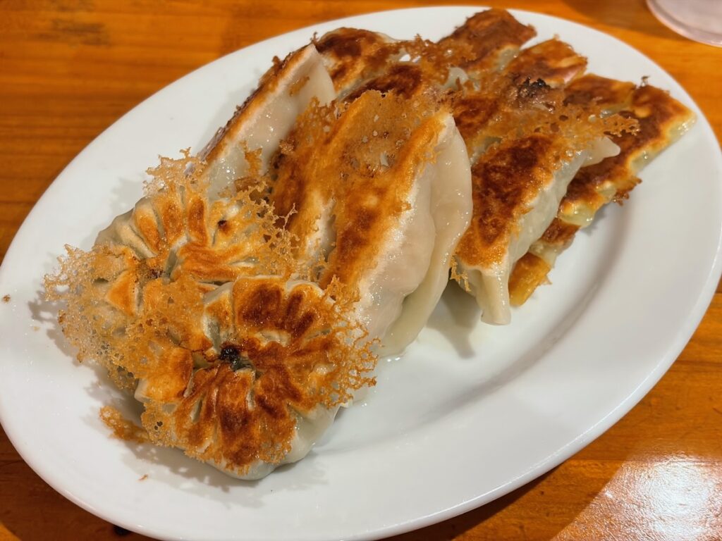 餃子専門店藤井屋船堀店の焼餃子全品盛り